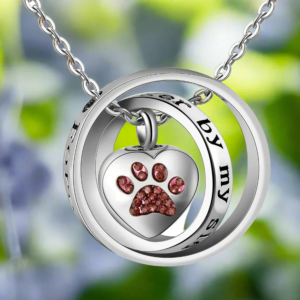 Collier en Acier Inoxydable avec Urne en Forme de Patte