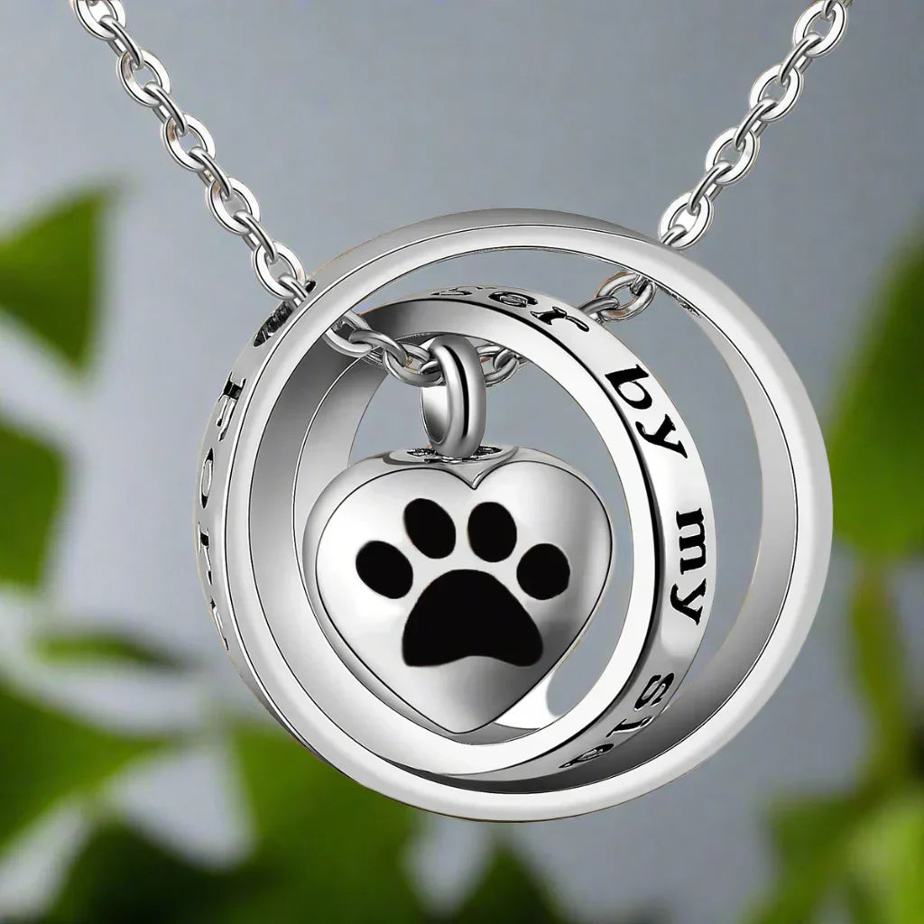 Collier en Acier Inoxydable avec Urne en Forme de Patte