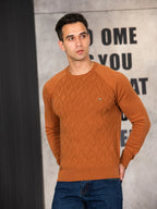 Alexander | Pull Élégant pour Hommes