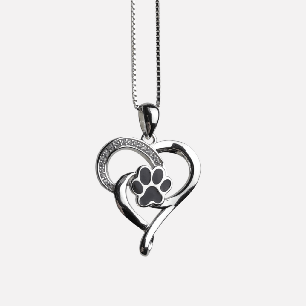 Collier en acier inoxydable avec symbole d'infini, cœur et patte
